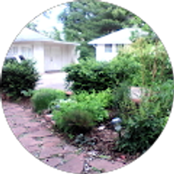 Profile photo of Gene Reeves