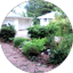 Profile photo of Gene Reeves