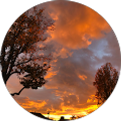 Profile photo of James Castellon