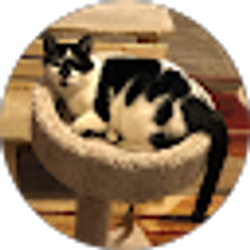 Profile photo of LouLou Bell