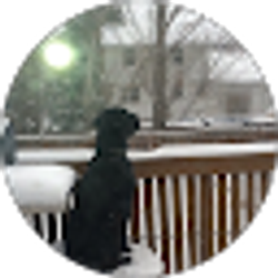Profile photo of Ben Peterson