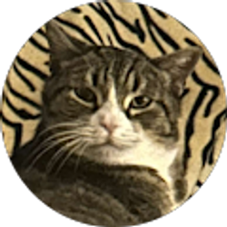 Profile photo of Michelle Early