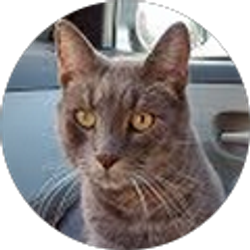 Profile photo of Melissa