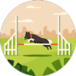 Profile photo of J M