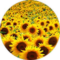 Profile photo of Julie Hansen