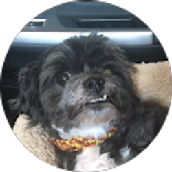 Profile photo of Cindy Kivler