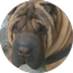 Profile photo of E Adams