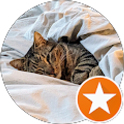 Profile photo of SteveO C