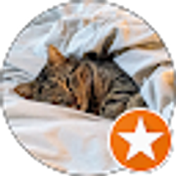 Profile photo of SteveO C