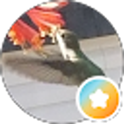 Profile photo of Randy N