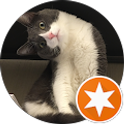 Profile photo of Ivy Tian