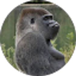 Profile photo of Tyler Maynard