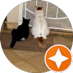 Profile photo of Robin “Christopher Robin” Fenwick