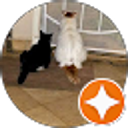 Profile photo of Robin “Christopher Robin” Fenwick