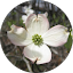 Profile photo of Adrian Hollow