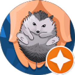 Profile photo of King K