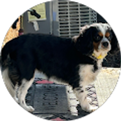 Profile photo of Karen McCarthy