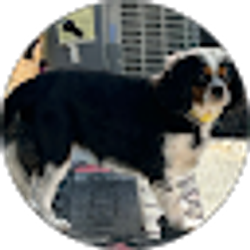 Profile photo of Karen McCarthy