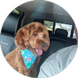 Profile photo of Jeff Barwick