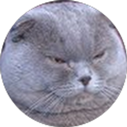 Profile photo of Daniel Picarazzi