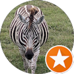 Profile photo of Nezza Depaul