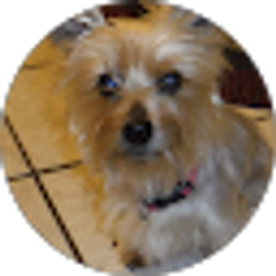 Profile photo of Trina Donnersbach