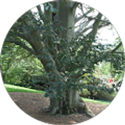 Profile photo of Steven Byas