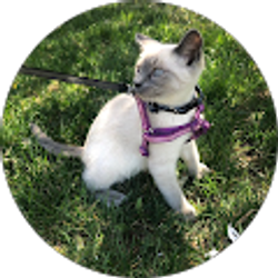 Profile photo of Morgan Rai Larsen