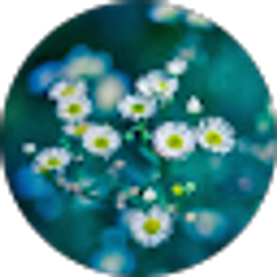 Profile photo of Reena Younes