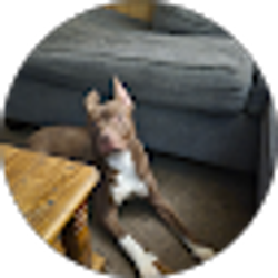 Profile photo of jukes Nead