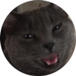 Profile photo of Cole Rabe