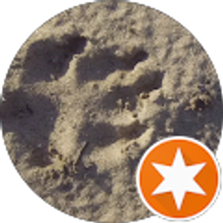 Profile photo of Ancient Tree-Ghost