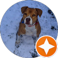 Profile photo of Wayne Decker