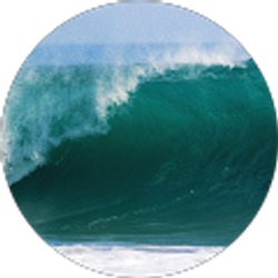 Profile photo of Ryan Wozniak