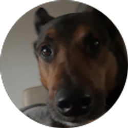 Profile photo of Tony Bunay