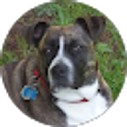 Profile photo of DCorvell
