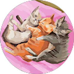 Profile photo of Anna