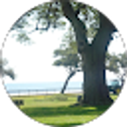 Profile photo of Vonda Harrison