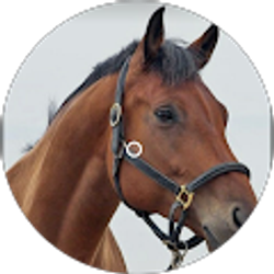 Profile photo of salvador de la cruz