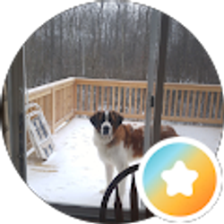 Profile photo of David Bearden