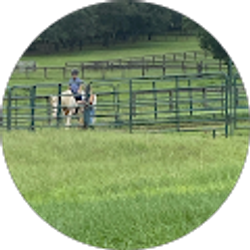 Profile photo of Amy Clovis