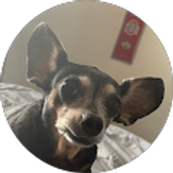 Profile photo of Jayden