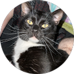 Profile photo of Tarren Canamore