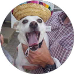 Profile photo of Matthew Wright