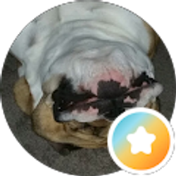 Profile photo of Justin Noel