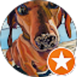 Profile photo of Nicolas Carone