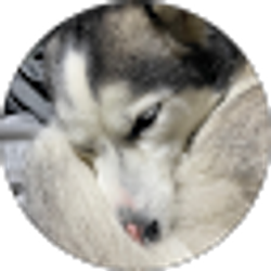 Profile photo of Stephanie Wireman