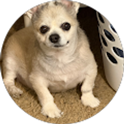 Profile photo of mark muncy