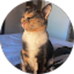Profile photo of Erin Burke