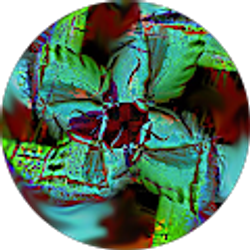 Profile photo of Taylor Mills